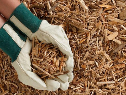 Wood Chips Klasa A1