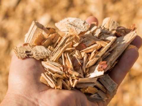 Wood Chips Klasa A2