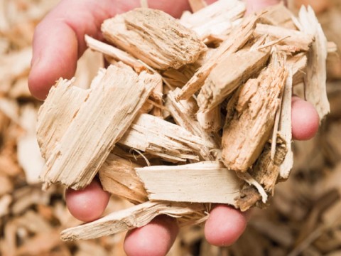 Wood Chips Klasa B1