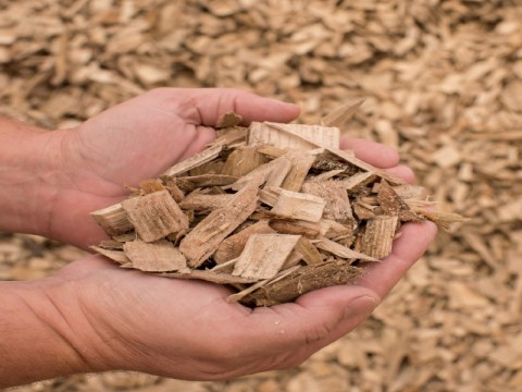Wood Chips Klasa B2